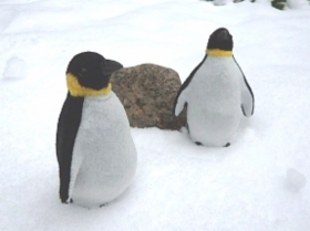 Pingviinit_ulkona.JPG&width=280&height=500